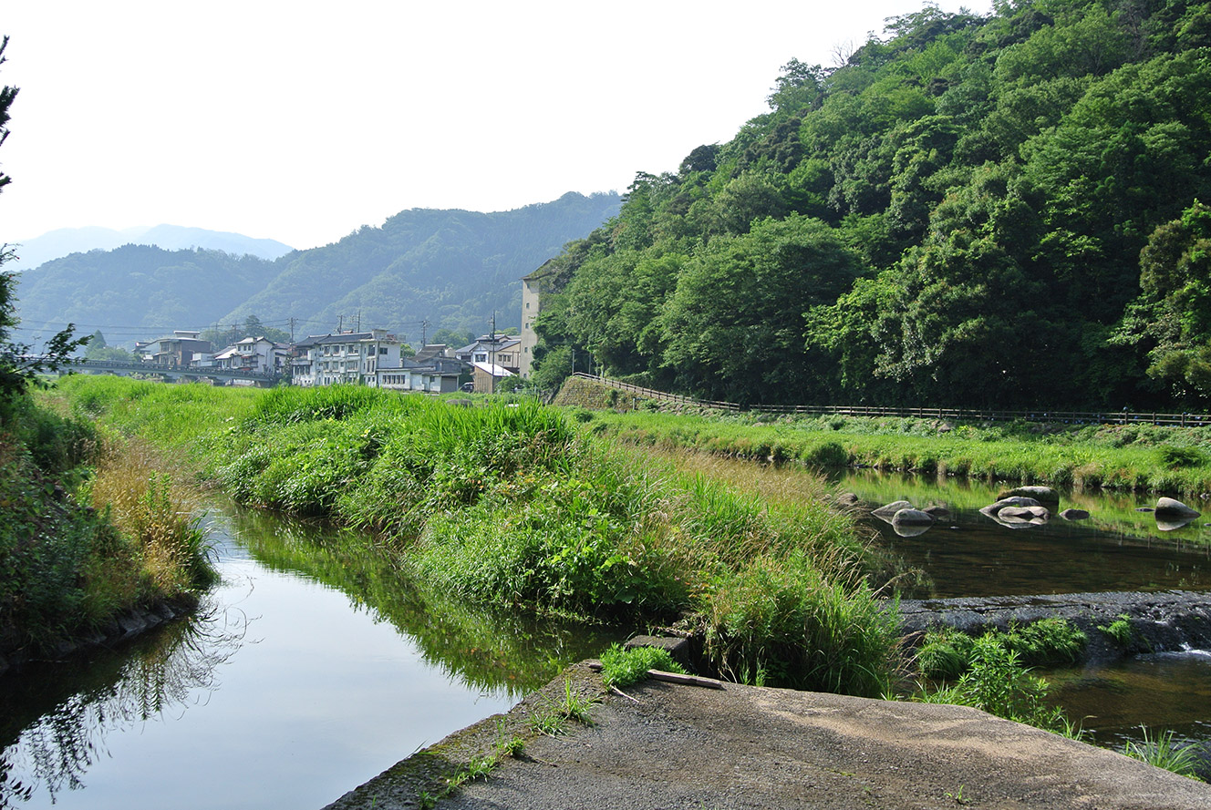 写真：緑豊かな自然