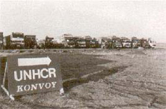 Photo of a United Nations convoy for refugees