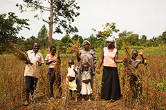 Photo of rural farmers in Africa