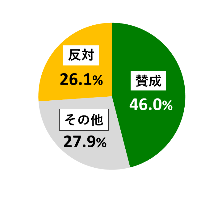 18歳意識調査結果の円グラフ：賛成が46.0％。反対が26.1％。その他が27.9％。