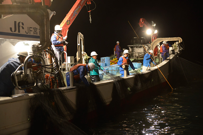 写真：漁船で作業する漁師とネレウスフェローたち