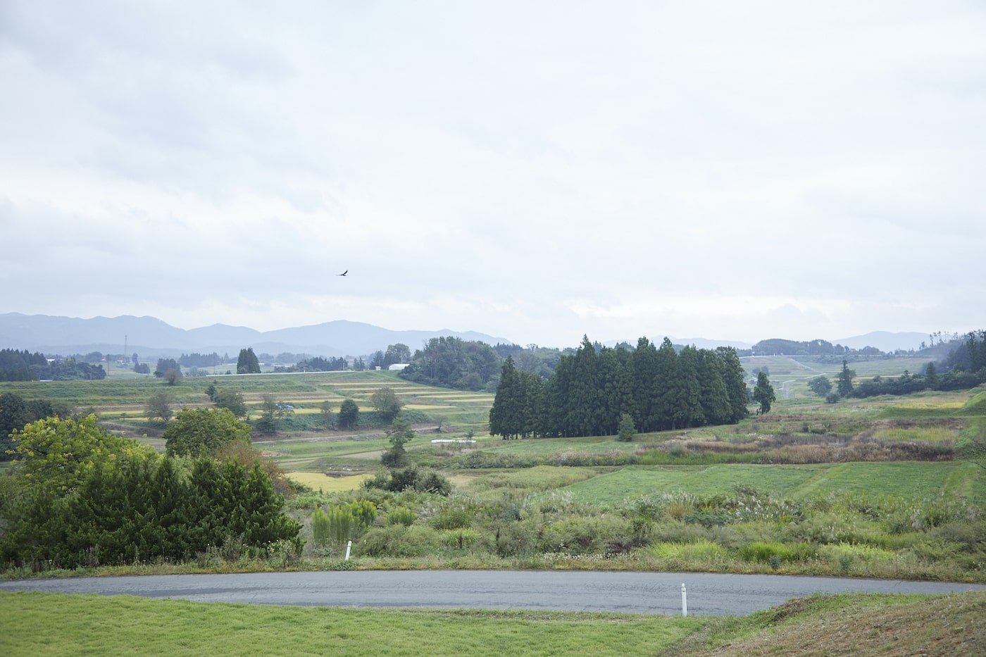 写真:アールペイザンワイナリーから望む花巻の自然の風景