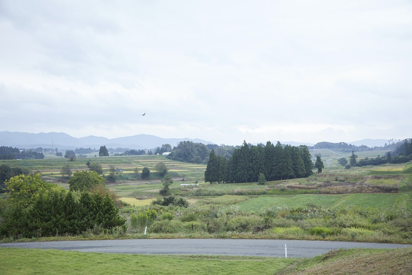 写真：アールペイザンワイナリーから望む花巻の自然の風景