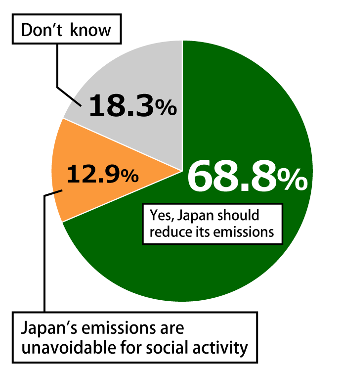 Pie chart showing results from Awareness Survey of 18-Year-Olds.