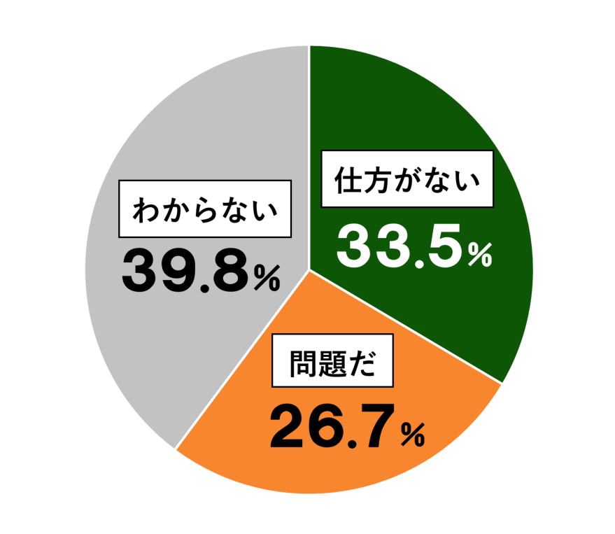 18歳意識調査結果の円グラフ：思わない33.5%。問題だ26.7%。わからない39.8%。