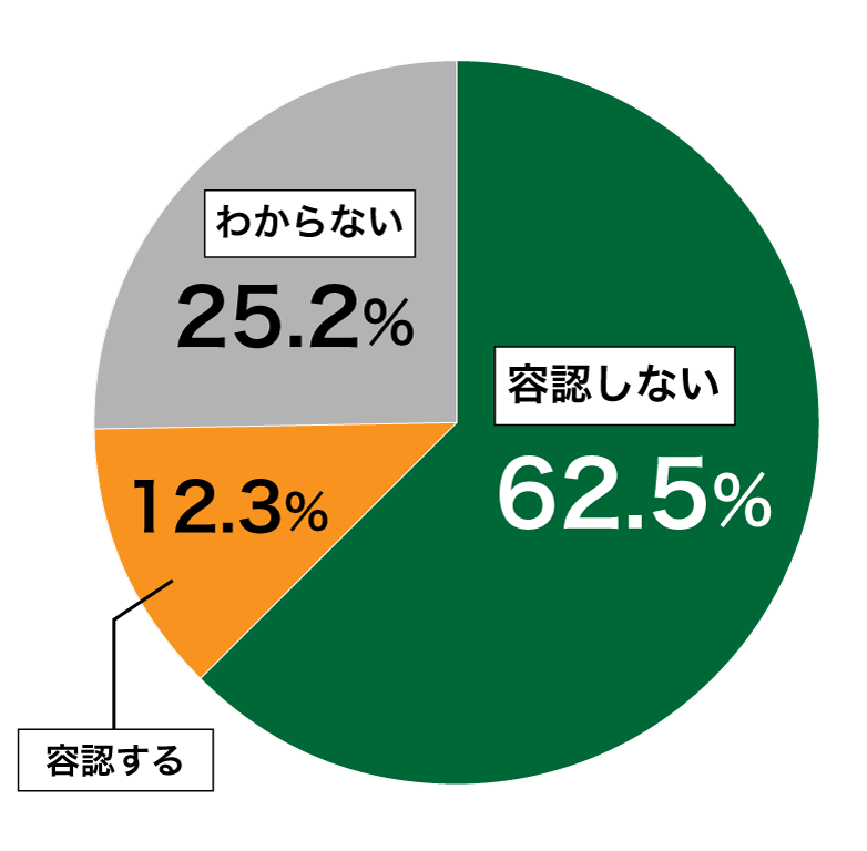 18歳意識調査結果の円グラフ：容認しない62.5%。容認する12.3%。わからない25.2％。