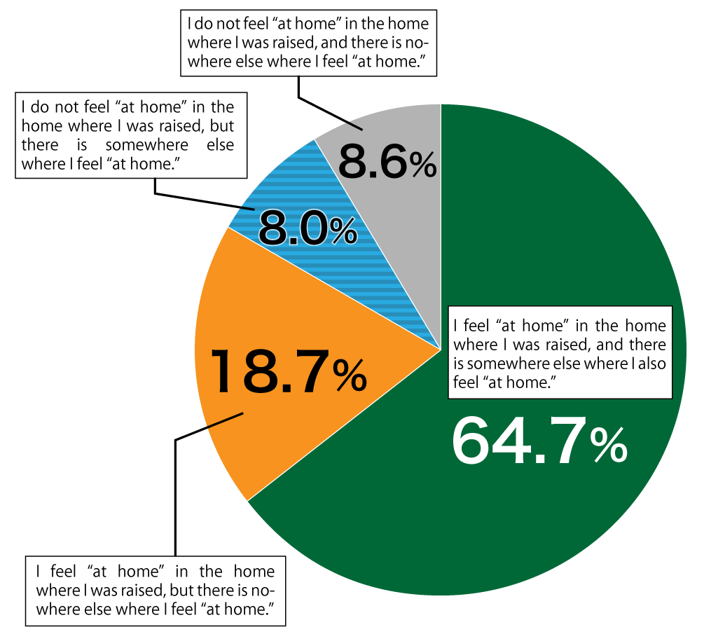 Pie chart showing results from Awareness Survey of 18-Year-Olds.