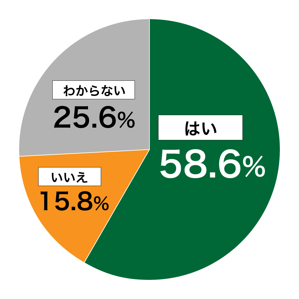 18歳意識調査結果の円グラフ：はい58.6%。いいえ15.8%。わからない25.6%。