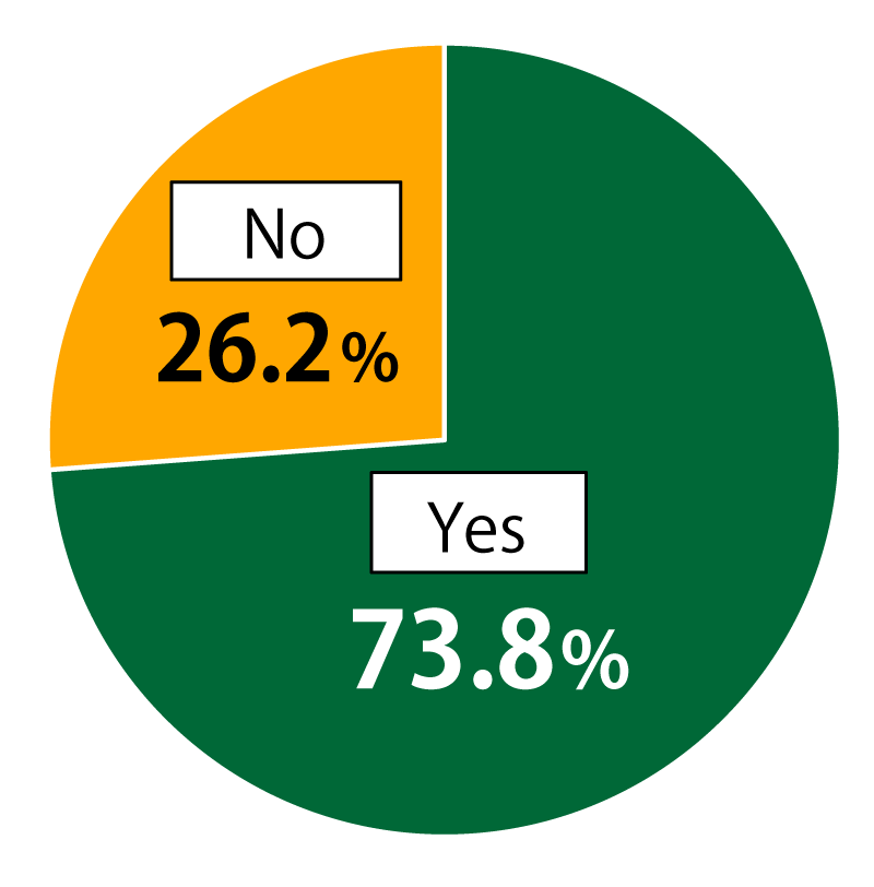 Pie chart showing results from Awareness Survey of 18-Year-Olds: In response to the question, “Have you studied internet literacy?”, 73.8% of respondents replied “Yes” and 26.2% replied “No.”