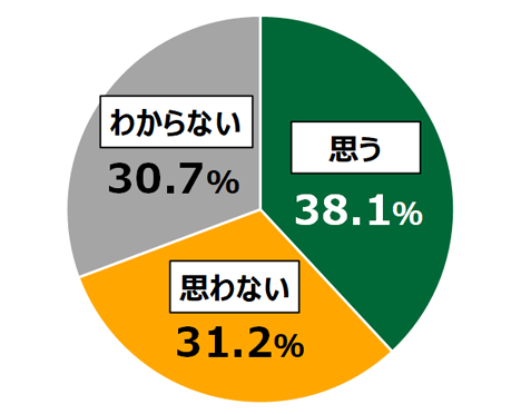 18歳意識調査結果「Q日本のデジタル化は遅れているか。」の円グラフ：思う38.1%。思わない31.2%。わからない30.7％。