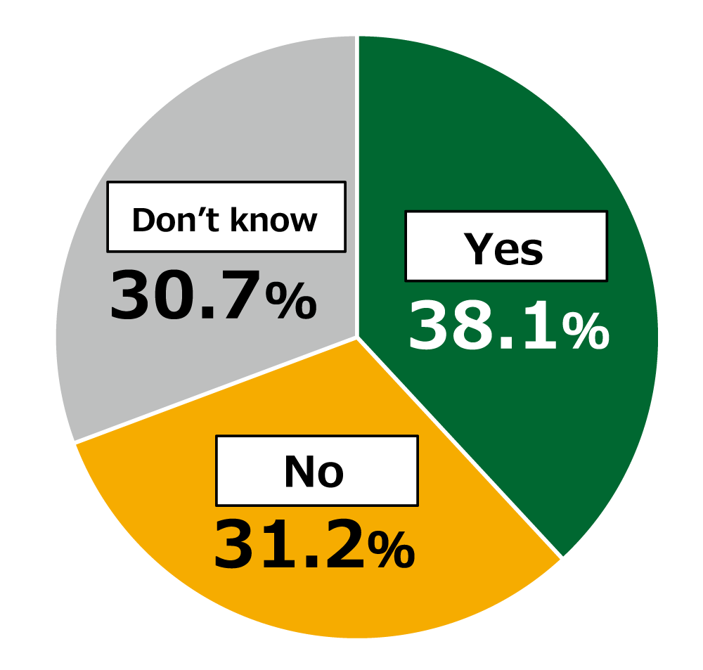 Pie chart showing results from Awareness Survey of 18-Year-Olds: In response to the question, “Do you consider Japan’s pace of digitalization to be lagging?”, 38.1% of respondents replied “Yes,” 31.2% replied “No,” and 30.7% replied “Don’t know.”