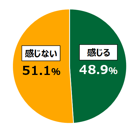 18歳意識調査結果の円グラフ：感じる48.9%。感じない51.1％。