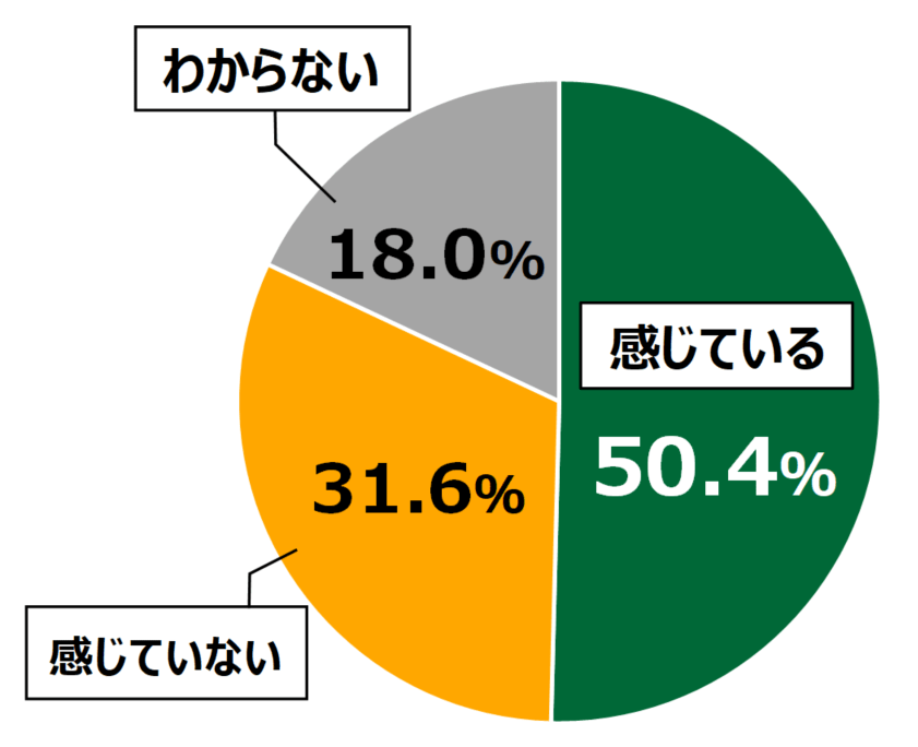 18歳意識調査結果の円グラフ：感じている50.4%。感じていない31.6%。わからない18.0％。