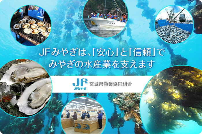 写真：宮城県漁業協同組合の公式サイト内にあるウェブショプ