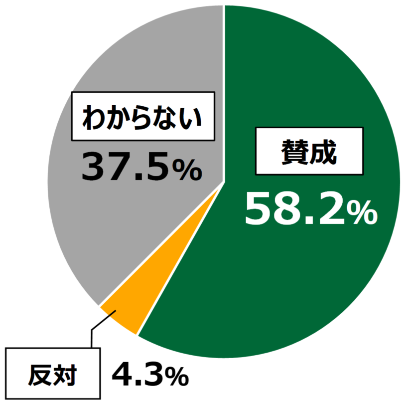 18歳意識調査結果の円グラフ：賛成58.2%。反対4.3%。わからない37.5％。