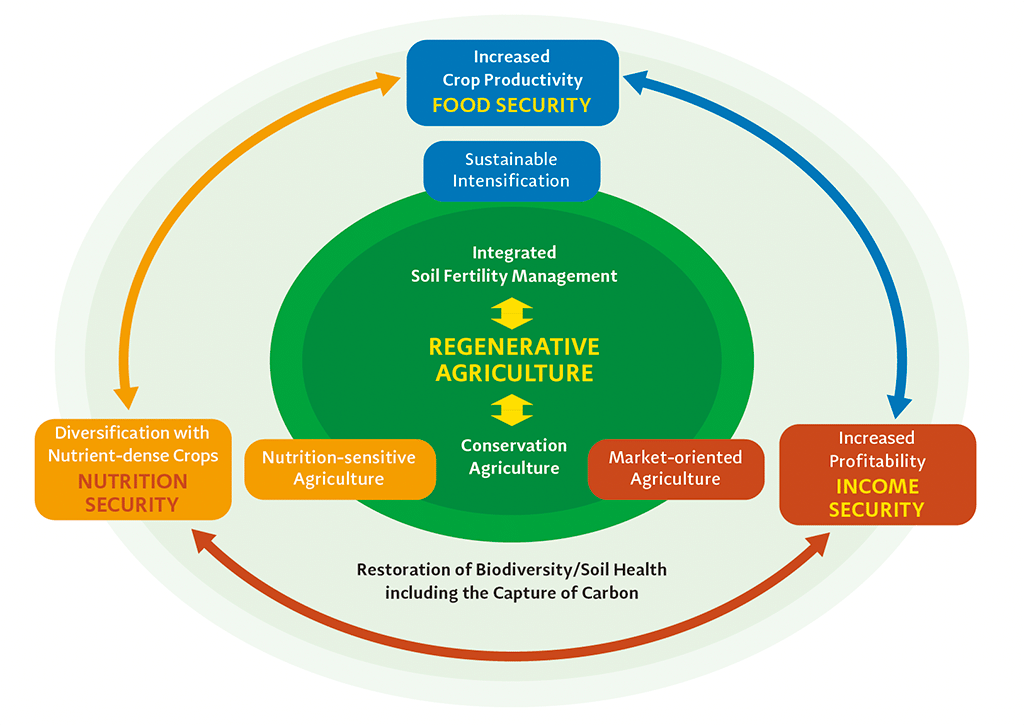 Diagram showing the new five-year strategy. The new five-year strategy is centered on "Regenerative Agriculture," which includes integrated soil fertility management and conservation agriculture. Sustainable intensification of agriculture, nutrition-sensitive agriculture, and market-oriented agriculture surround it. These are in turn surrounded by three points: "Food security - increased crop productivity," "Nutrition security - diversification with nutrient-dense crops," and "Income security - increased profitability. These three points create a cycle of "Restoration of biodiversity and soil health including capture of carbon."