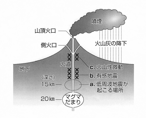 富士山噴火のメカニズム図：富士山の地下約20kmにはマグマで満された「マグマだまり」がある。噴火の前には、マグマだまり上部で「低周波地震」と呼ばれるユラユラ揺れる地震が起きる（a）。さらにマグマが上昇すると、通路（火道）の途中でガタガタ揺れるタイプの人が感じられるような「有感地震」が起きる（b）。その後、噴火が近づくと「火山性微動」という細かい揺れが発生（c）。マグマが地表に噴出する直前に起きるため、「噴火スタンバイ」状態になったことを示す。噴火のおよそ数週間から1カ月ほど前にこうした現象が起き始める。噴火すると噴煙がのぼり、広範囲にわたって火山灰を降らす。