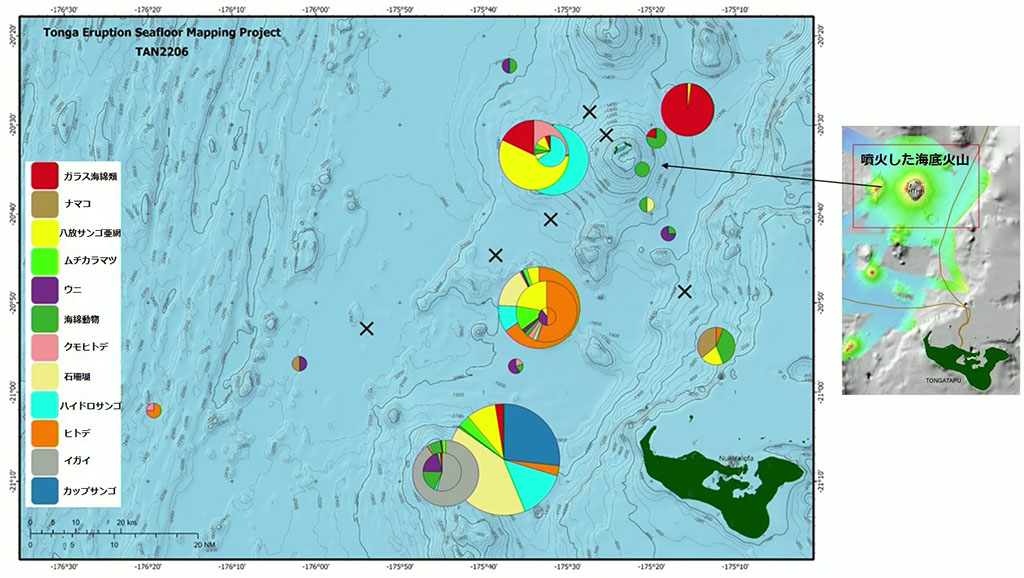 Habitat map of Hunga Tonga-Hunga-Haʻapai underwater volcano