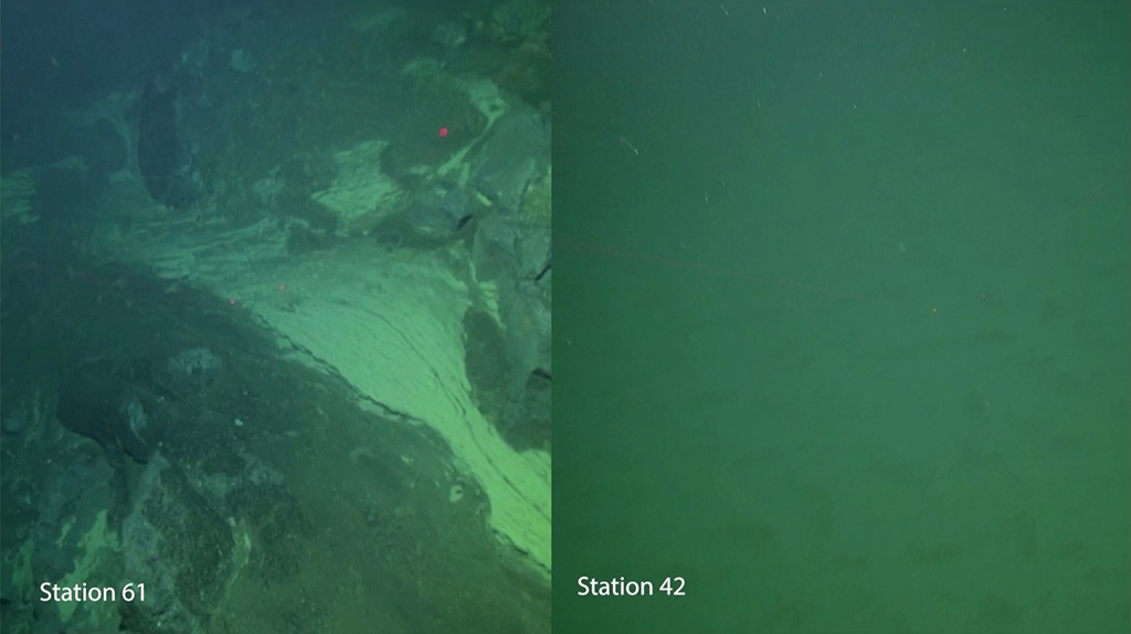 Photographs showing no life on the pyroclastic flows (left) or on the sides of the volcano (right)