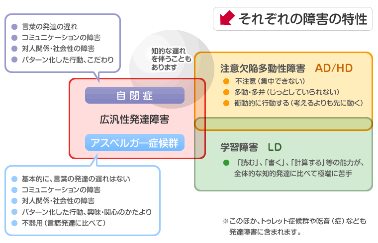 それぞれの障害の特性

［自閉症］
●言葉の発達の遅れ
●コミュニケーションの障害
●対人関係・社会性の障害
●パターン化した行動、こだわり

［アスペルガー症候群］
●基本的に言葉の発達の遅れはない
●コミュニケーションの障害
●対人関係・社会性の障害
●パターン化した行動、興味・関心の偏り
●不器用（言語発達に比べて）

［注意欠陥多動性障害（AD/HD）］
●不注意（集中できない）
●多動・多弁（じっとしていられない）
●衝動的に行動する（考えるよりも先に動く）

［学習障害（LD）］
●「読む」「書く」「計算する」等の能力が、全体的な知的発達に比べて極端に苦手

自閉症とアスペルガー症候群は広汎性発達障害と呼ばれる。
広汎性発達障害と注意欠陥多動性障害は知的な遅れを伴うこともあります。

それぞれの障害の特性

［自閉症］
●言葉の発達の遅れ
●コミュニケーションの障害
●対人関係・社会性の障害
●パターン化した行動、こだわり

［アスペルガー症候群］
●基本的に言葉の発達の遅れはない
●コミュニケーションの障害
●対人関係・社会性の障害
●パターン化した行動、興味・関心の偏り
●不器用（言語発達に比べて）

［注意欠陥多動性障害（AD/HD）］
●不注意（集中できない）
●多動・多弁（じっとしていられない）
●衝動的に行動する（考えるよりも先に動く）

［学習障害（LD）］
●「読む」「書く」「計算する」等の能力が、全体的な知的発達に比べて極端に苦手

自閉症とアスペルガー症候群は広汎性発達障害と呼ばれる。
広汎性発達障害と注意欠陥多動性障害は知的な遅れを伴うこともあります。

※このほか、トゥレット症候群や吃音（症）なども発達障害に含まれます。
