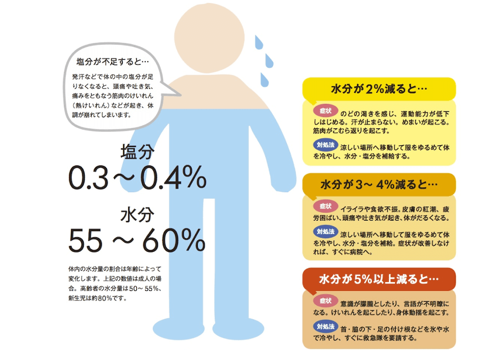 塩分・水分の不足で起きる症状：
塩分0.3〜0.4％、水分55〜60％
体内の水分量の割合は年齢によって変化します。上記の数値は成人の場合。高齢者の水分量は50〜55％、新生児はやく80％。

塩分が不足すると…発汗などで体の中の塩分が足りなくなると、頭痛や吐き気、痛みをともなう筋肉のけいれん（熱けいれん）などが起き、体調が崩れてしまいます。

水分が2％減ると…
［症状］のどの渇きを感じ、運動能力が低下しはじめる。汗が止まらない。めまいが起こる。筋肉がこむら返りを起こす。
［対処法］涼しい場所へ移動して服をゆつめて体を冷やし、水分・塩分を補給する。
水分が3~４％減ると…
［症状］イライラや食欲不振。皮膚の紅潮、疲労困ぱい、頭痛や吐き気が起き、体がだるくなる。
［対処法］涼しい場所へ移動して服をゆるめて体を冷やし、水分・塩分を補給。症状が改善しなければ、すぐに
病院へ。
水分が5％以上減ると…
［症状］意識が朦朧としたり、言語が不明確になる。けいれんを起こしたり、身体動揺を起こす。
［対処法］首・脇の下・足の付け根などを氷や水で冷やし、すぐに救急隊を要請する。