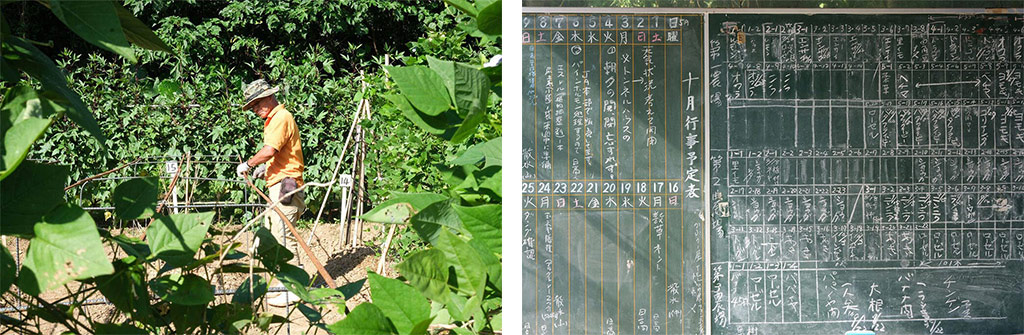 写真左：農場での作業の様子。写真右：黒板にびっしり書かれた生産計画。
