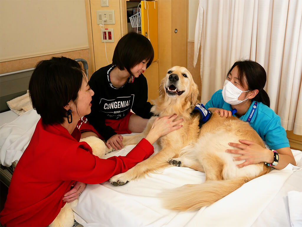 Photo of facility dog Annie with a hospitalized child, her mother, and Annie’s handler