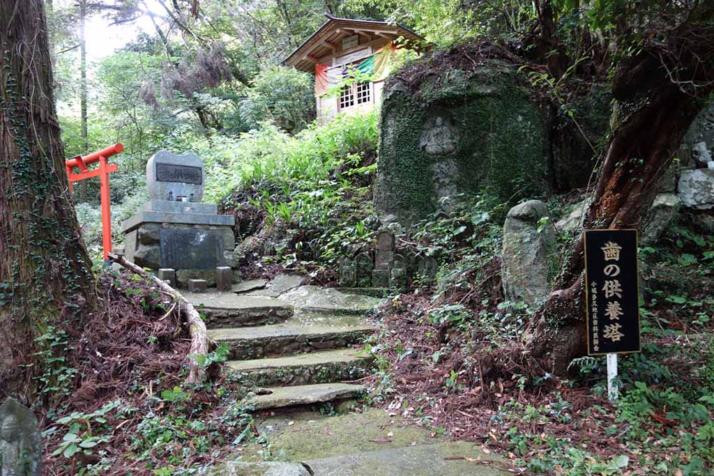 Photo of the tooth memorial tower