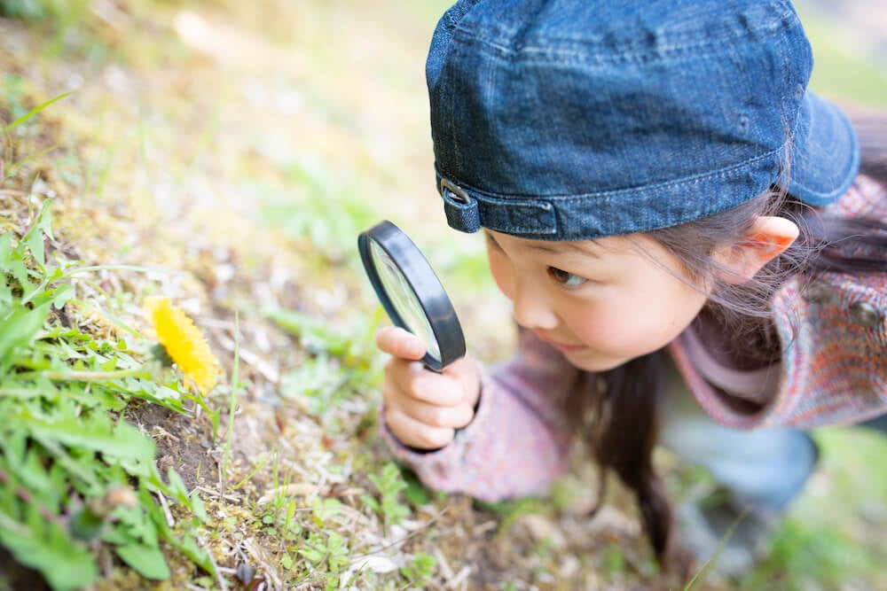 イメージ写真：草花を虫眼鏡で観察する子ども