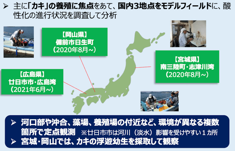 海洋酸性化プロジェクトにおける主要な定点観測地点と調査内容を示す図：

主に「カキ」の養殖に焦点をあて、国内3地点をモデルフィールドに、酸性化の進行状況を調査して分析
・【岡山県】備前市日生町（2020年8月〜）
・【宮城県】南三陸町・志津川湾（2020年8月〜）
・【広島県】廿日市市・広島湾（2021年6月〜）
▶︎河口部や沖合、藻場、養殖場の付近など、環境が異なる複数箇所で定点観測
　※廿日市市は河川（淡水）影響を受けやすい1カ所
▶︎宮城・岡山では、カキの浮遊幼生を採取して観察