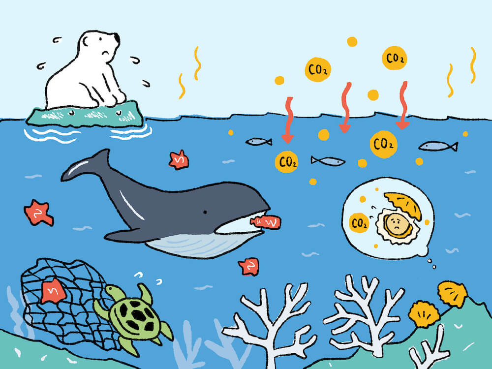 イラスト：小さくなった氷の上で困っているシロクマ、プラスチックごみを食べるクジラ、魚網に絡まるウミガメ、酸性化で困っている魚や貝