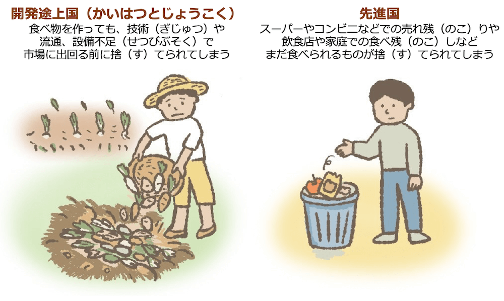 食品ロスの開発途上国と先進国の理由を表現したイラスト。
左：開発途上国。収穫した野菜を捨てる農夫
右：先進国。食べ残しをごみ箱に捨てる人