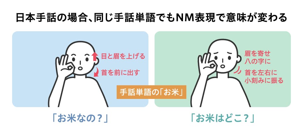 日本手話における「お米」は右手親指人差し指でOKマークを作り、あごにつける。

「お米なの？」の場合、そこから目と眉を上げ、首を前に出す。

「お米はどこ？」の場合、眉を寄せハの字に、首は小刻みに振る