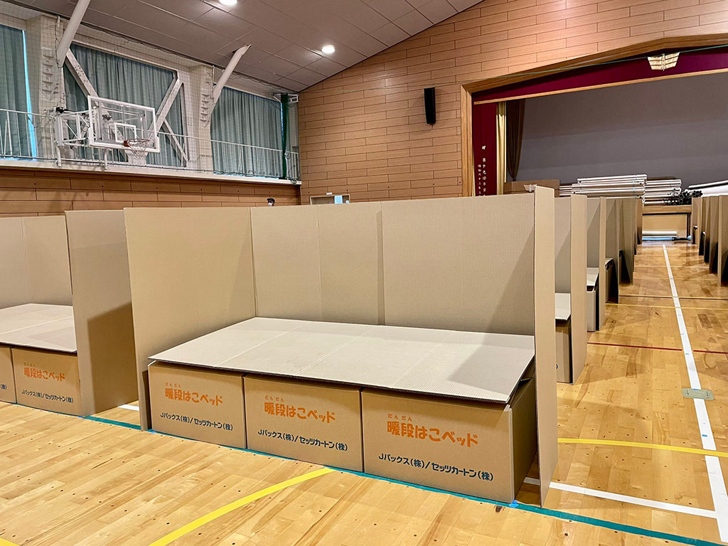 Photo of assembled cardboard beds and partitions