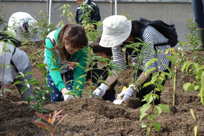 Photo of a scene from a tree-planting event