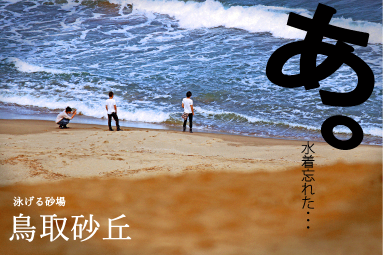 Poster for the Tottori sand dunes that won the top prize in 2015