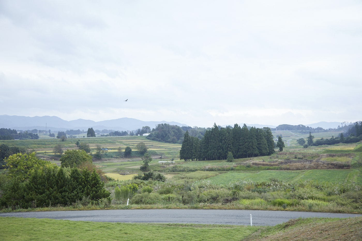 写真:アールペイザンワイナリーから望む花巻の自然の風景