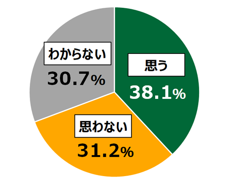 18歳意識調査結果「Q日本のデジタル化は遅れているか。」の円グラフ:思う38.1%。思わない31.2%。わからない30.7%。