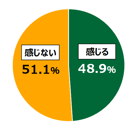 18歳意識調査結果の円グラフ:感じる48.9%。感じない51.1%。