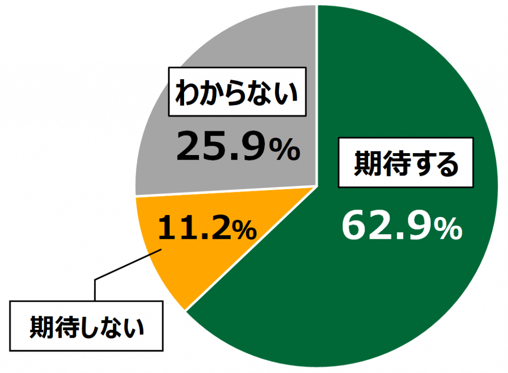 18歳意識調査結果の円グラフ:期待する62.9%。期待しない11.2%。わからない25.9%。