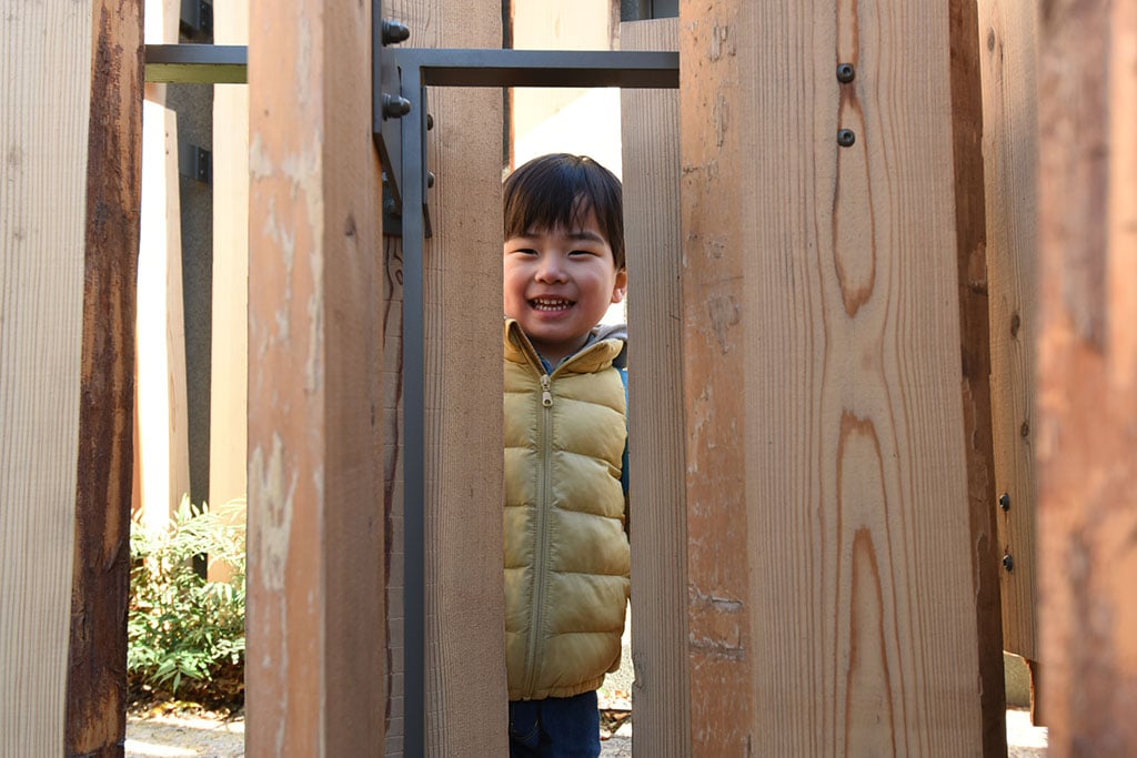 写真:トイレを覆う杉板のルーバー