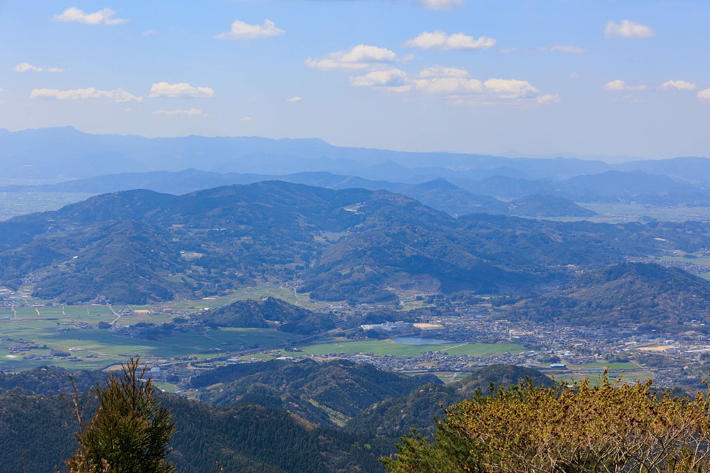写真