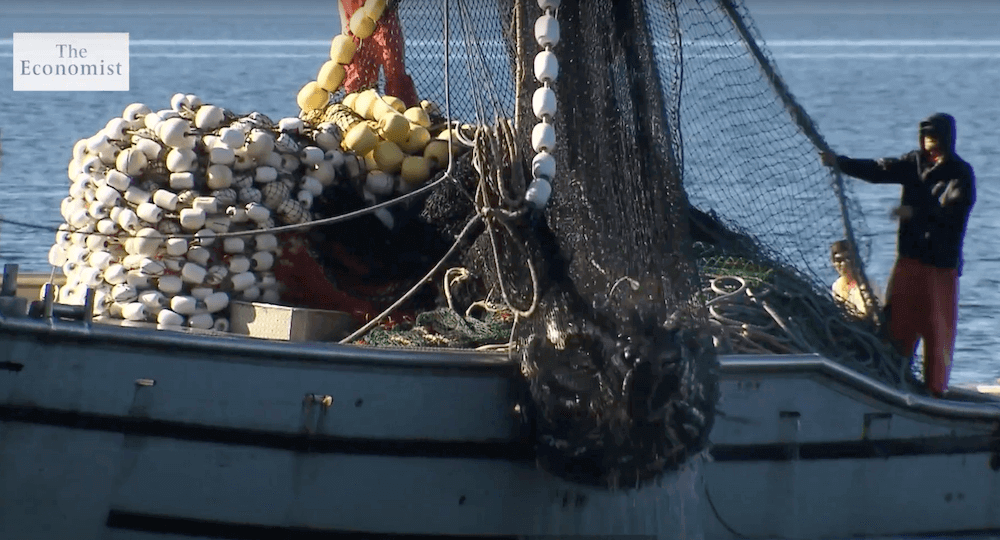 写真:海上でサケ量をする漁師