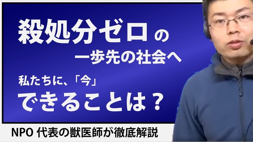 「殺処分ゼロの一歩先の社会へ」というタイトルのYouTube動画のサムネイル