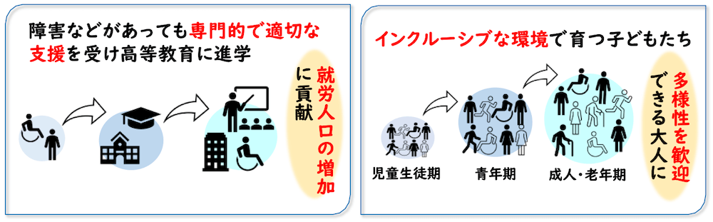障害などがあっても専門的で適切な支援を受け高等教育に進学=就労人口の増加に貢献
インクルーシブな環境で育つ子どもたち
児童生徒期→青年期→成人・老年期=多様性.歓迎できる大人に