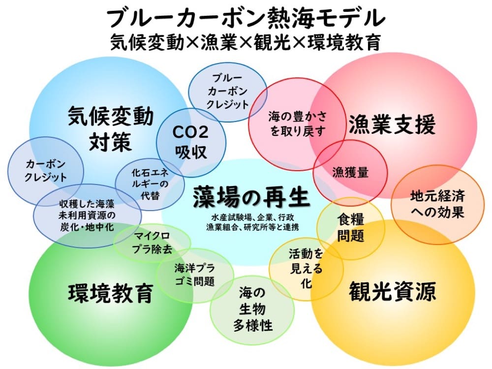 ブルーカーボンが環境・経済・社会に与える効果を示すモデル図。

気候変動対策: CO2吸収、カーボンクレジット、化石エネルギーの代替など。

藻場の再生: 藻場再生による海の生態系回復や漁業支援。

漁業支援: 漁獲量向上、地域経済への効果、食糧問題の対策。

観光資源: 海の豊かさが観光資源として活用される。

環境教育: プラスチック除去や海洋ゴミ問題、生物多様性教育などを通して環境意識を高める。