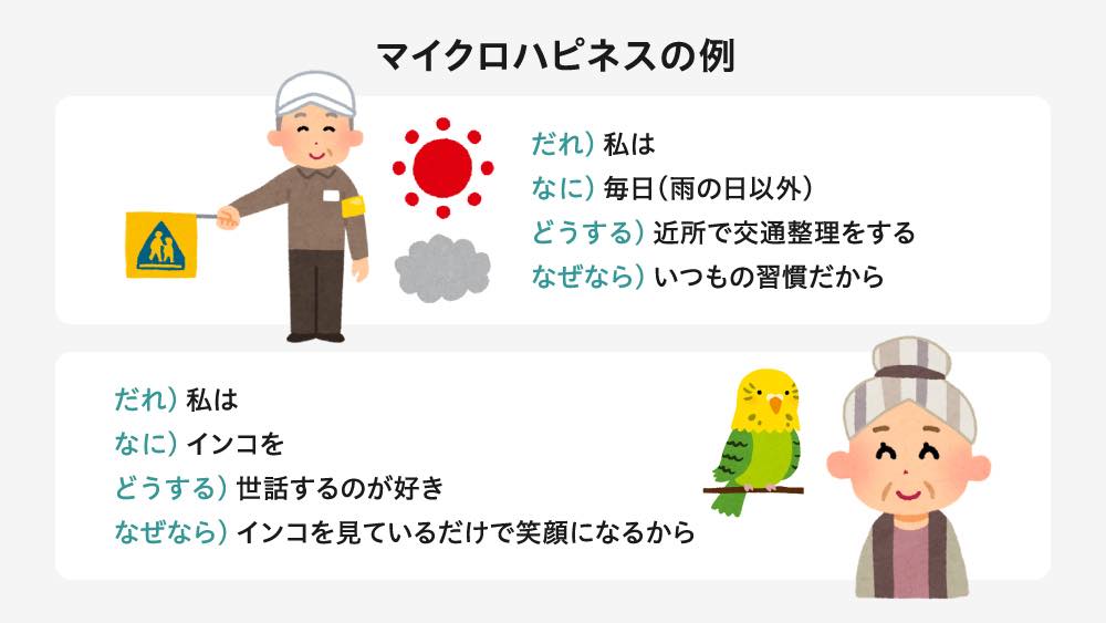 マイクロハピネスの例
 
だれ）私は
なに）毎日（雨の日以外）
どうする）近所で交通整理をする
なぜなら）いつもの習慣だから
 
だれ）私は
なに）インコを
どうする）世話するのが好き
なぜなら）インコを見ているだけで笑顔になる