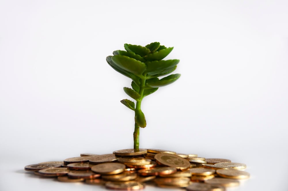 イメージ:金で育つ木