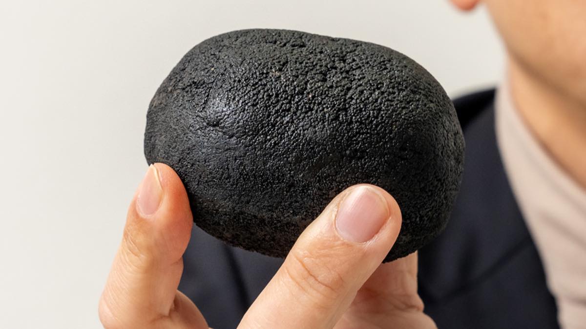 南鳥島近海の深海調査で採取された海底鉱物資源「マンガンノジュール」の一部