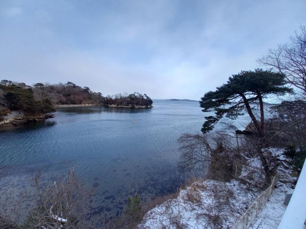雪が薄く積もった海岸の風景